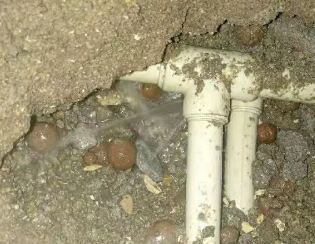 拜泉卫生间测漏