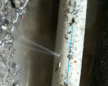 拜泉卫生间测漏水多少钱